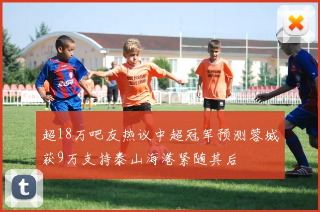 超18万吧友热议中超冠军预测蓉城获9万支持泰山海港紧随其后