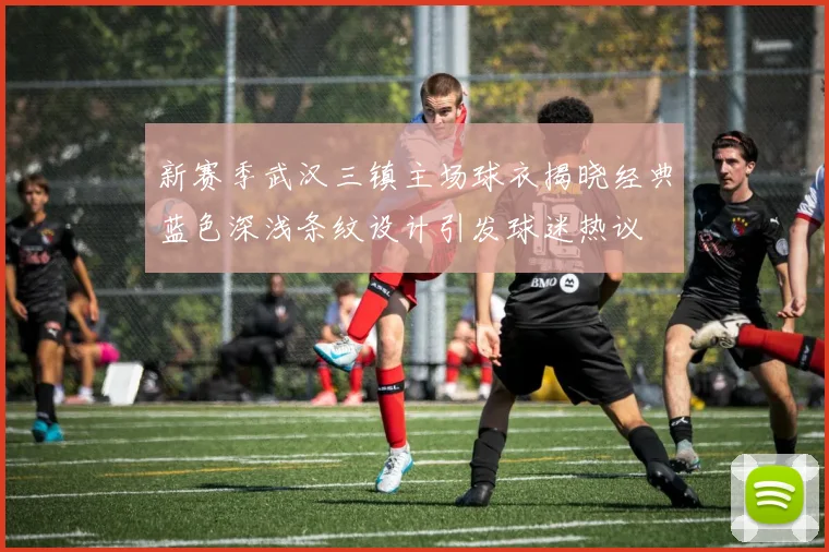 新赛季武汉三镇主场球衣揭晓经典蓝色深浅条纹设计引发球迷热议
